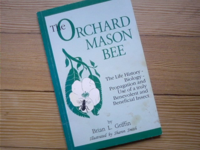 Photo of Orchard Mason Bees